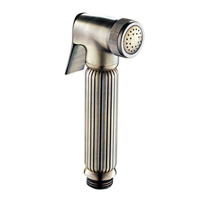 Гигиеническая лейка Frap F24-4